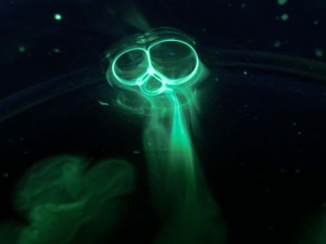 mantis alien glow