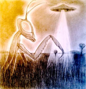 mantis ET alien being