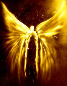 Angels - Souls Alight through Amariah